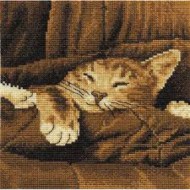 BK 133 Sleepy-500x500
